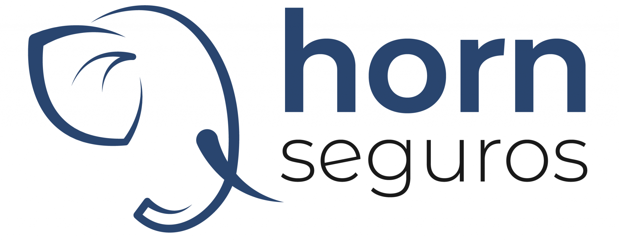 Horn Corretora de Seguros